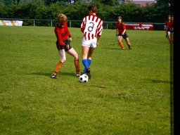 0DIA 1984 RAVA B1